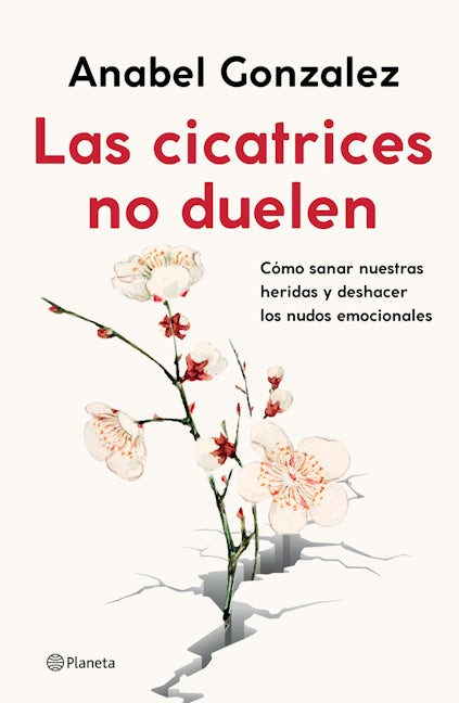 Book cover image for Las cicatrices no duelen: Como sanar nuestras heridas y deshacer los nudos emocionales / Wounds don't hurt ISBN: 9786070782671